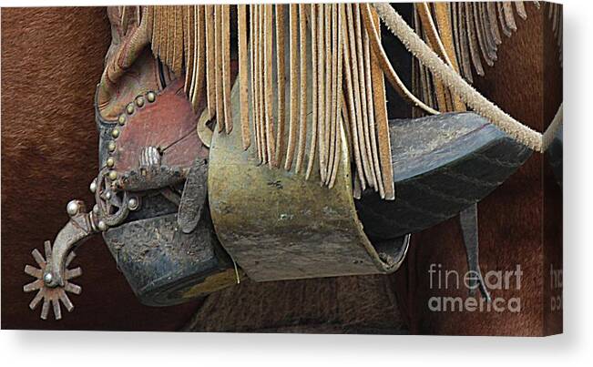 Spur Canvas Print featuring the photograph Tools of the Trade by Ann E Robson
