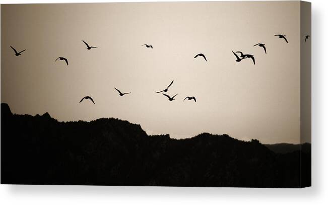 Twilight Canvas Print featuring the photograph Twilight Geese by Marilyn Hunt