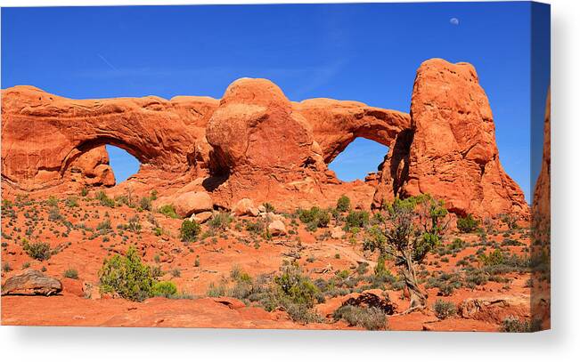 Windows Canvas Print featuring the photograph Window Eyes by Greg Norrell