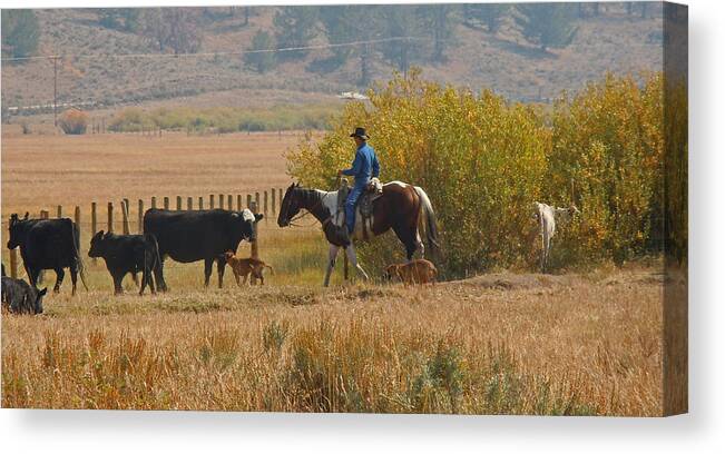 Cowboy Canvas Print featuring the photograph Wyoming Cowboy by Heather Coen