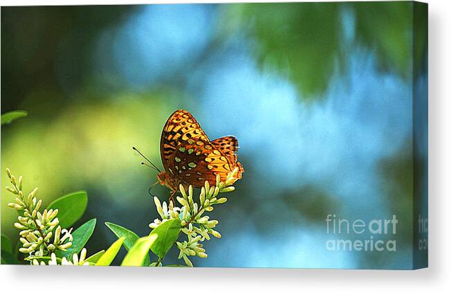 Landscape Canvas Print featuring the photograph Brown Spotted Butterfly by Peggy Franz