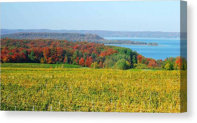Optical Playground By Mp Ray Canvas Print featuring the photograph Michigan winery views by Optical Playground By MP Ray
