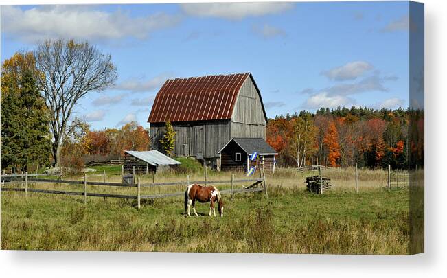 Autumn Canvas Print featuring the photograph Pony and Barn by Douglas Pike