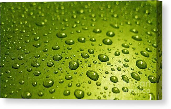 Water Drops.green Card Canvas Print featuring the photograph Green Card. Macro Photography Series by Ausra Huntington nee Paulauskaite