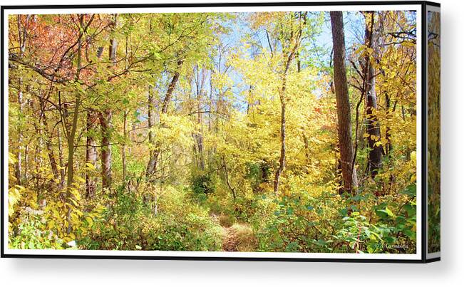 Path Canvas Print featuring the photograph Narrow Path Through A Forest in Autumn, Pennsylvania #1 by A Macarthur Gurmankin