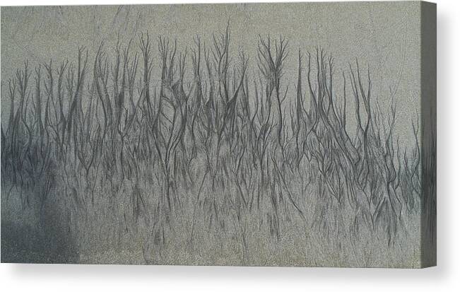 Sand Canvas Print featuring the photograph Sand Reels #4 by Joe Palermo
