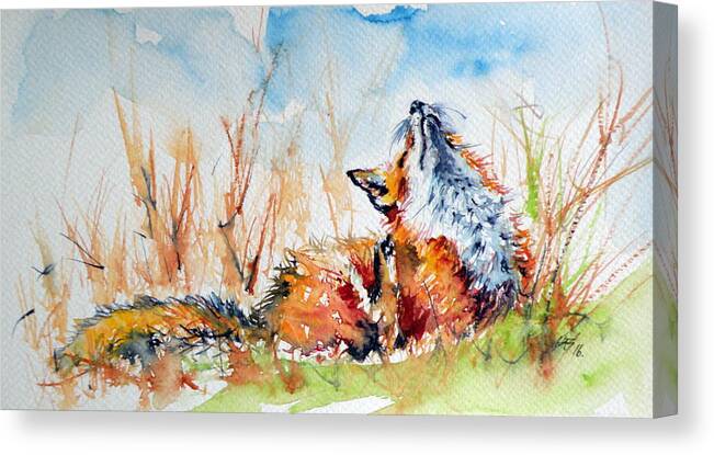 Red Fox Canvas Print featuring the painting Red fox #7 by Kovacs Anna Brigitta