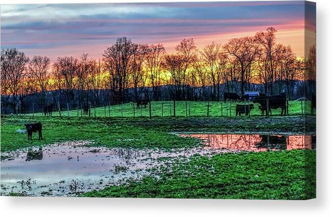 (rockefeller Preserve Canvas Print featuring the photograph A Time For Reflection by Jeffrey Friedkin