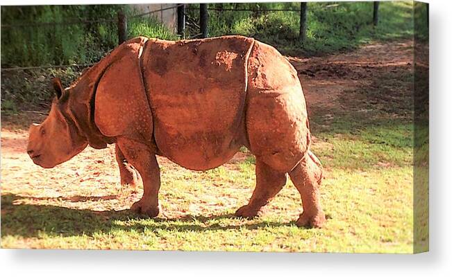 Blue Rhino Canvas Print featuring the photograph Baby Rhino by Esther Pedraza