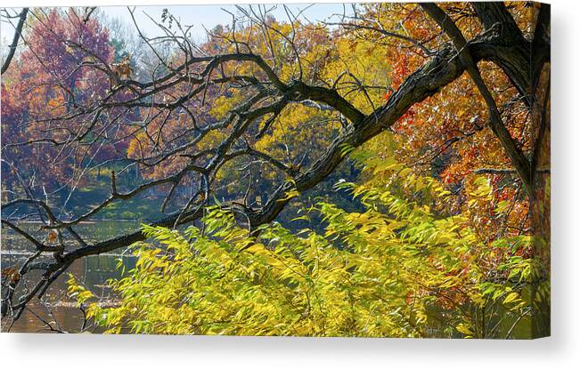 Autumn Canvas Print featuring the photograph Black Branches Through Bright Autumn Trees by Lynn Hansen