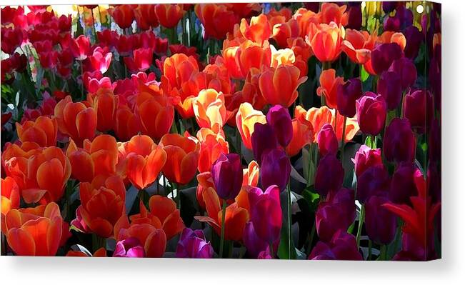 Blankets Of Tulips Canvas Print featuring the painting Blankets of tulips by Jeelan Clark