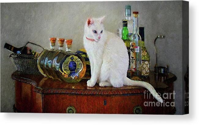 John+kolenberg Canvas Print featuring the photograph Cat On The Liquor Cabinet by John Kolenberg