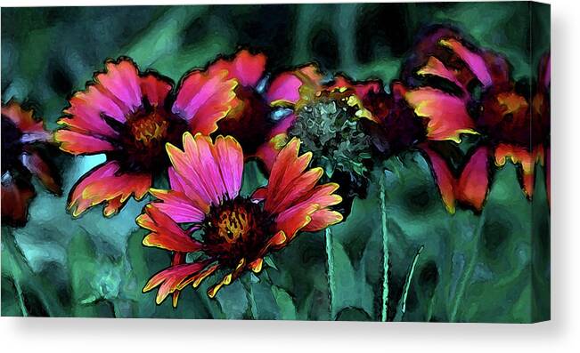 Digital Painting Canvas Print featuring the photograph Digital Painting Indian Blanket Ribbon 2220 DP_2 by Steven Ward