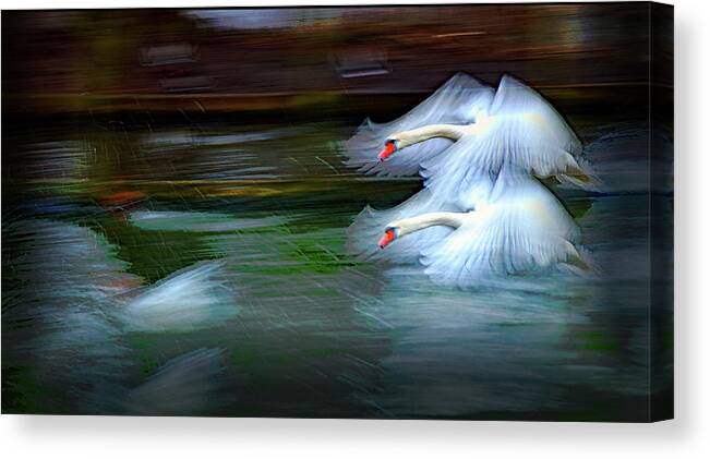 Swans Canvas Print featuring the photograph Flying Swans Abstract by Jeff Townsend