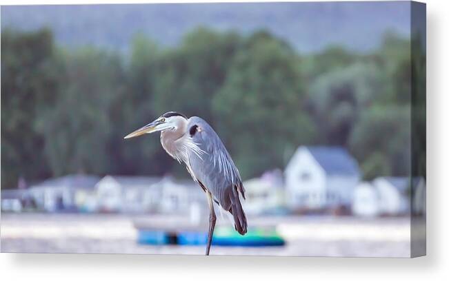 Great Blue Heron Canvas Print featuring the photograph Great Blue Heron on Keuka Lake Horizontal Pano by Photographic Arts And Design Studio