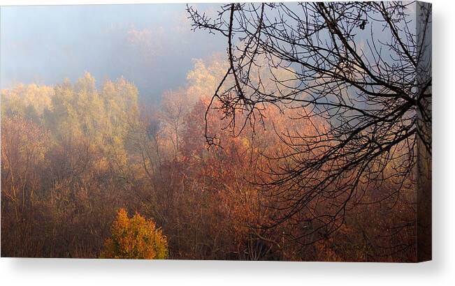 Autumn Canvas Print featuring the photograph I Thought of You by Wild Thing