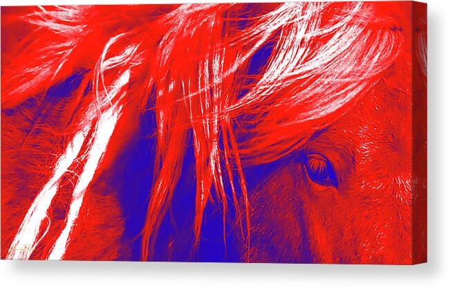 Patriotic Canvas Print featuring the photograph Let Freedom Ring by Amanda Smith