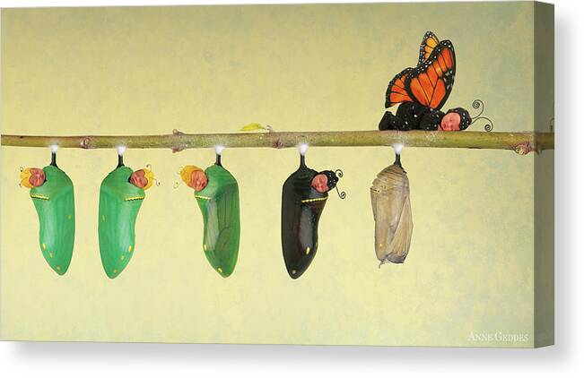 Butterfly Canvas Print featuring the photograph Monarch Butterfly by Anne Geddes