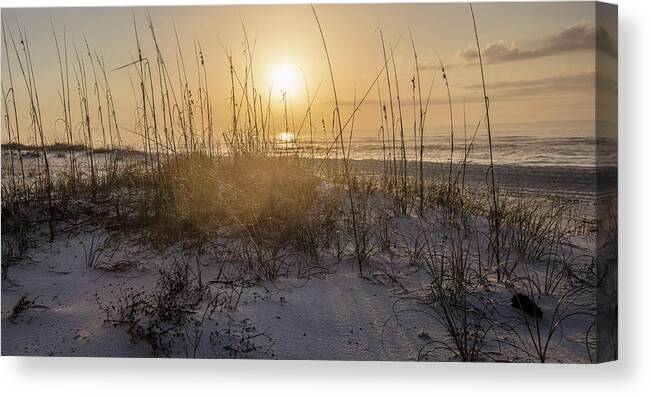 Alabama Canvas Print featuring the photograph Morning sunrise over the dunes by John McGraw