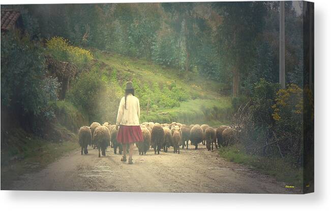 Peru Canvas Print featuring the photograph Moving To Greener Pastures Ankawasi Peru by Anastasia Savage Ealy