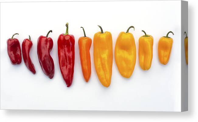 Food Canvas Print featuring the photograph Nine Peppers by Dick Pratt