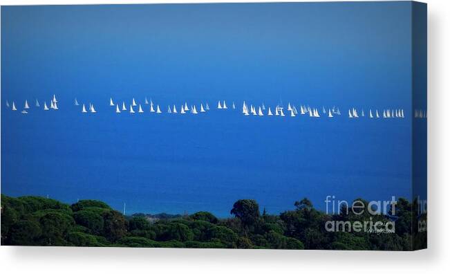 Sailing Canvas Print featuring the photograph Sailing The Sea And Sky by Lainie Wrightson