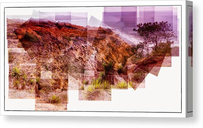 California Canvas Print featuring the photograph Sea Cliff Sunset Torrey Pines California 2015 by Lawrence Knutsson