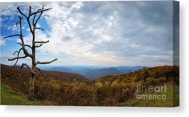 Pinnacles Overlook Canvas Print featuring the photograph Shenandoah by Michael Ver Sprill