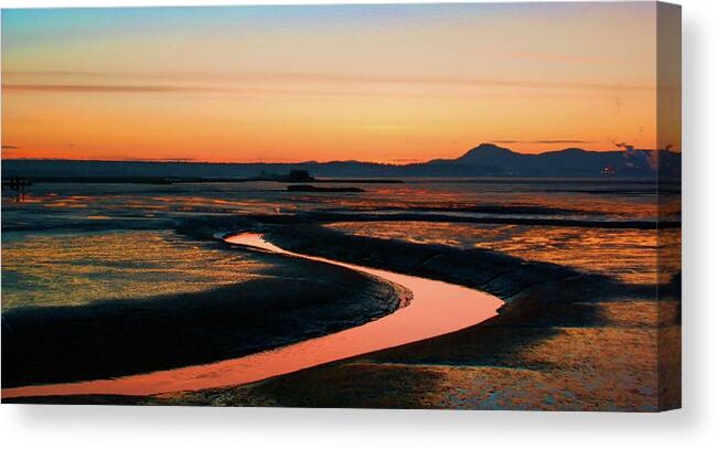 Skagit Canvas Print featuring the photograph Skagit Flats by Tim Dussault