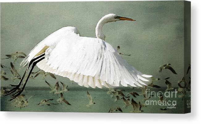 Birds Canvas Print featuring the painting Souls take flight ... by Chris Armytage