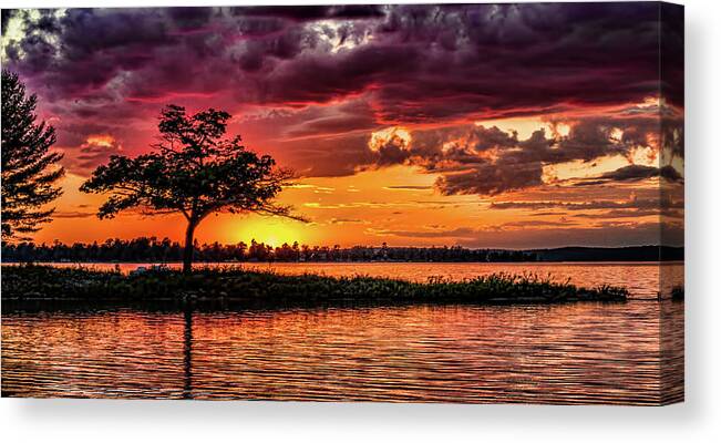 Sunset Canvas Print featuring the photograph The tree by Joe Holley
