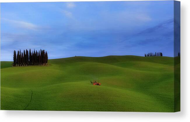 Tuscany Canvas Print featuring the photograph Tuscan Landscaping by Rob Davies