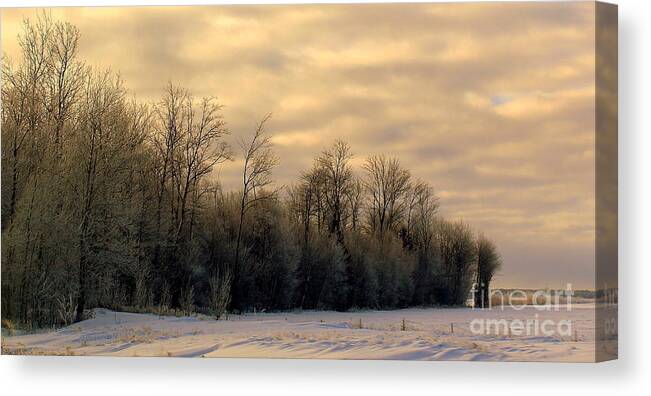 Golden Sky Canvas Print featuring the photograph Twilight by Elfriede Fulda