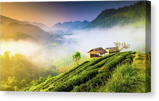 Scenics Canvas Print featuring the photograph Beautiful Sunshine At Misty Morning #4 by Primeimages