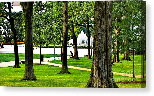 Restful Canvas Print featuring the photograph Capitol Hill Summer - A Quiet Moment by Steve Ember