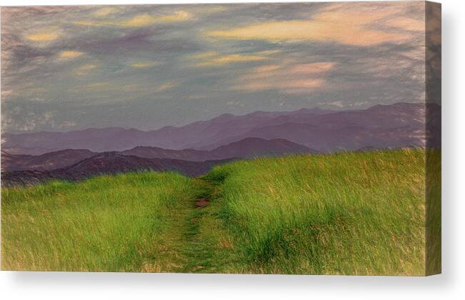 Appalachian Trail Canvas Print featuring the photograph Dusk Along the Appalachian Trail by Marcy Wielfaert
