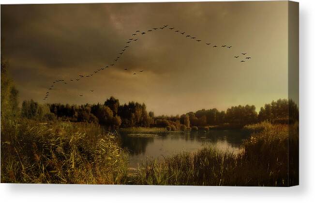 Polderland Canvas Print featuring the photograph Fall Is Proof That Change Is Beautiful... by Yvette Depaepe
