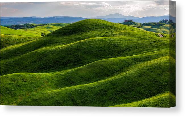 Tuscany
Landscape
Green
Fields
Hills
Colors
Misty
Day
Light
Clouds
Spring
Italy Canvas Print featuring the photograph Green Fields On Tuscany by Slawomir Kowalczyk