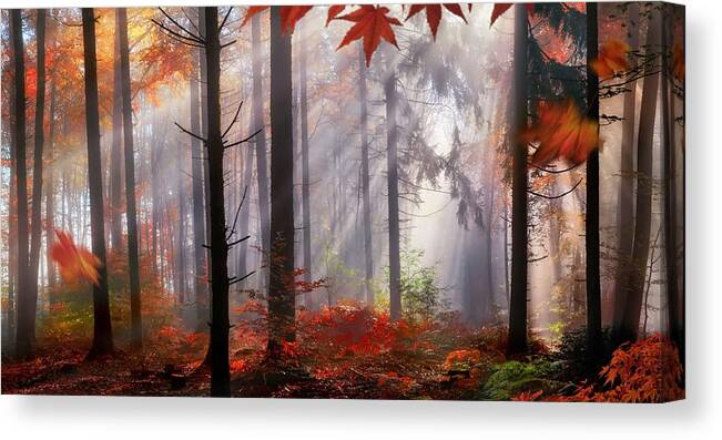 Trees Canvas Print featuring the photograph Magical Autumn Scenery In A Dreamy by Smileus Images