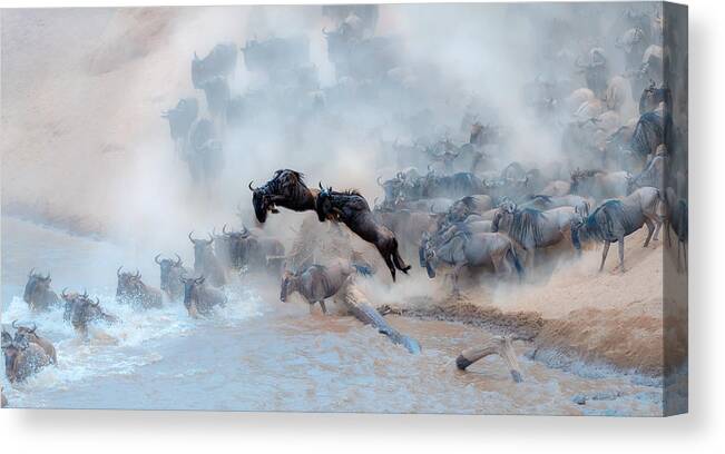 Panorama Canvas Print featuring the photograph Migration To The Maasai River by Jie Fischer