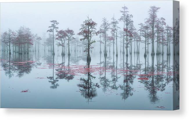 Abstract Canvas Print featuring the photograph Morning Reflection of Cypress Trees in the Fog by Alex Mironyuk