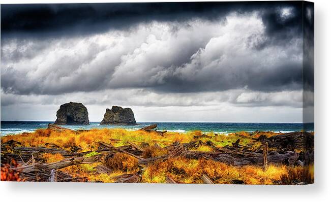 Deebrowningphotography.com Canvas Print featuring the photograph Pacific Storm by Dee Browning