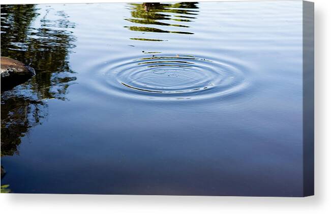 Concepts & Topics Canvas Print featuring the photograph Ripples On A Pond by Rapideye