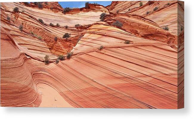 Tranquility Canvas Print featuring the photograph Sandstone Curves And Layers- Coyote by Photograph By Michael Schwab