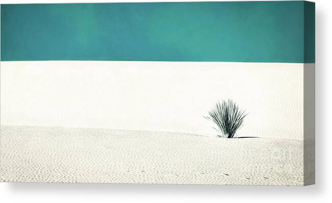 White Sands National Monument Canvas Print featuring the photograph Teal Skies In White Sands by Doug Sturgess