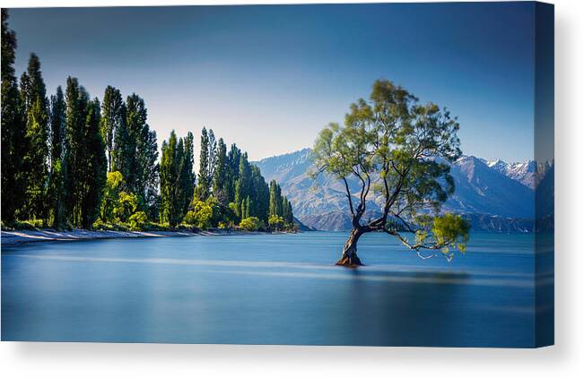 Landscapes Canvas Print featuring the photograph The Famous Wanaka Tree At Lake Wanaka by Amril Izan Imran