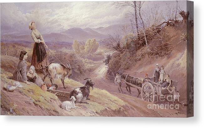 The Goat Herd Canvas Print featuring the painting The Goat Herd, 19th century by Myles Birket Foster