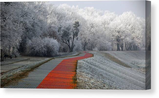 Winter Canvas Print featuring the photograph Winter Afternoon by Jacek Stefan