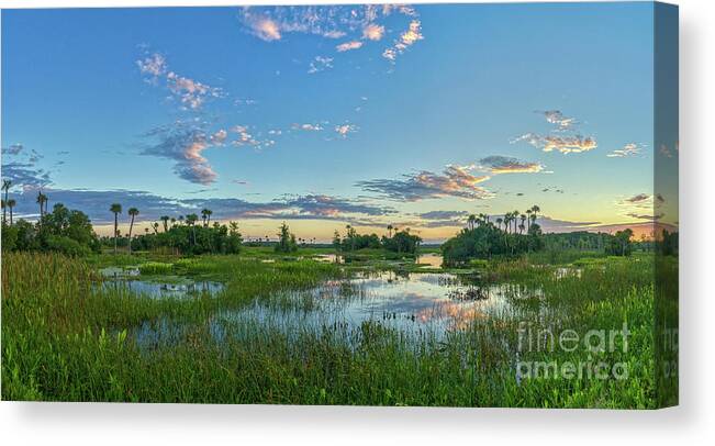 Usa Canvas Print featuring the photograph Natural Florida #3 by Brian Kamprath