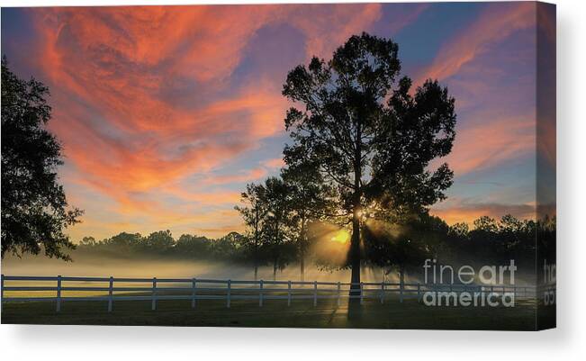 Fog Canvas Print featuring the photograph Morning Fog and Sunrise Color by Dale Powell